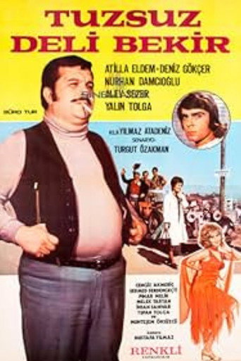 Tuzsuz Deli Bekir movie poster