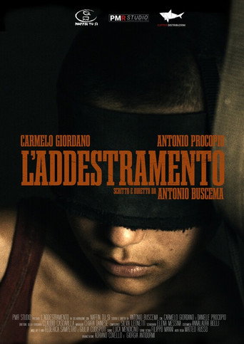 L'addestramento movie poster