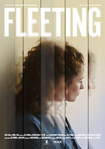 Fleeting movie poster