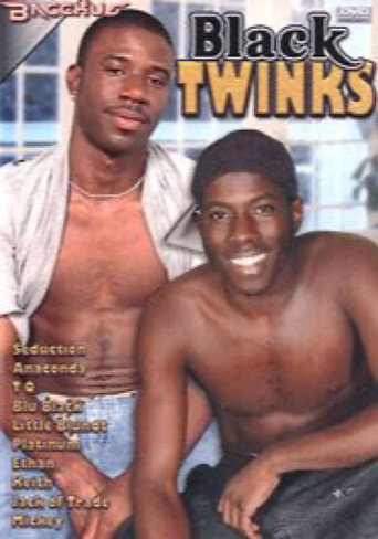 Black Twinks movie poster