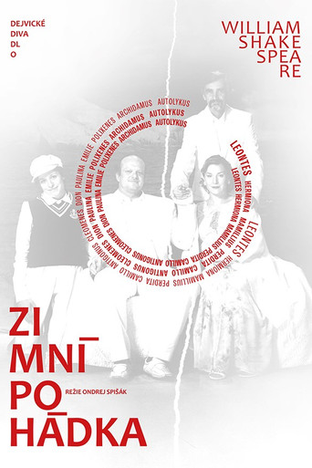 Zimní pohádka movie poster