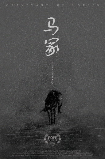 Graveyard of Horses movie poster