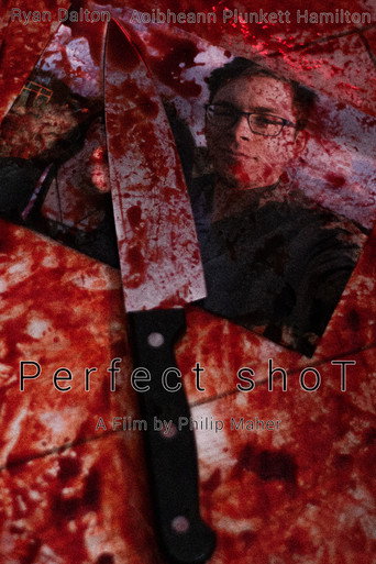 Perfect shoT movie poster