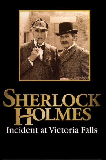 Sherlock Holmes: Incident at Victoria Falls movie poster