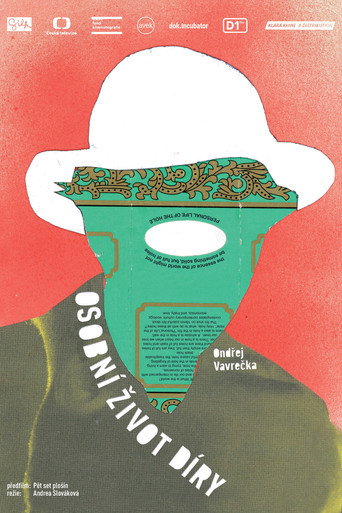 Personal Life of a Hole movie poster