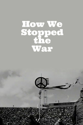 How We Stopped the War movie poster