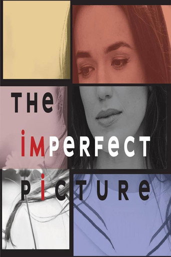 The Imperfect Picture movie poster
