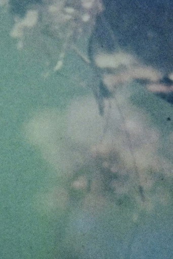 In the Broken Eye of the Butterfly movie poster