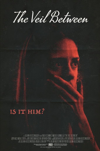 The Veil Between movie poster