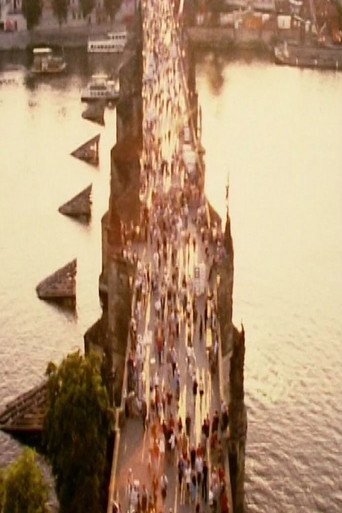 Arquitectura 3: Puente movie poster