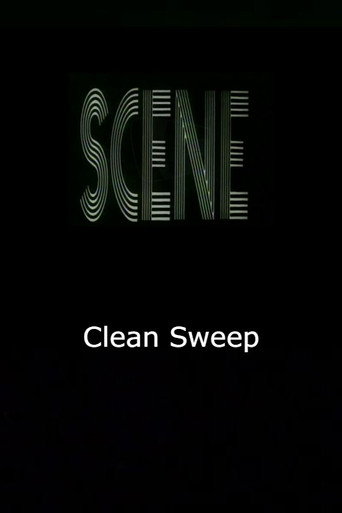 Clean Sweep movie poster