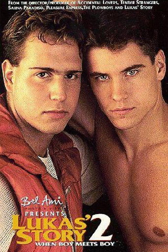 Lukas' Story 2: When Boy Meets Boy movie poster