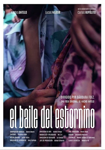 The Dance of the Starling movie poster