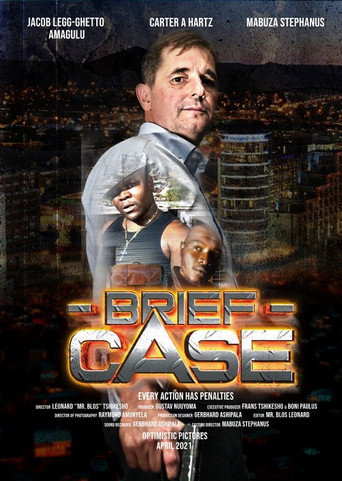 Brief Case movie poster