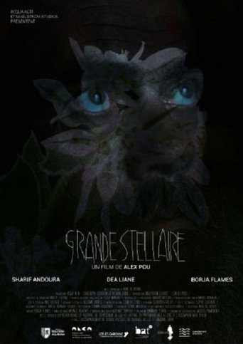 Grande Stellaire movie poster
