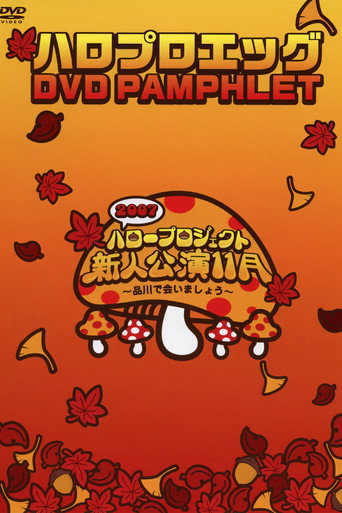 Hello Pro Egg DVD Pamphlet movie poster