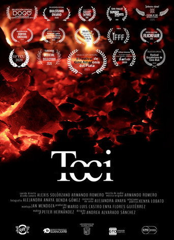 Toci, nuestra abuela movie poster