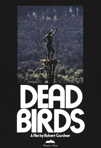 Dead Birds movie poster