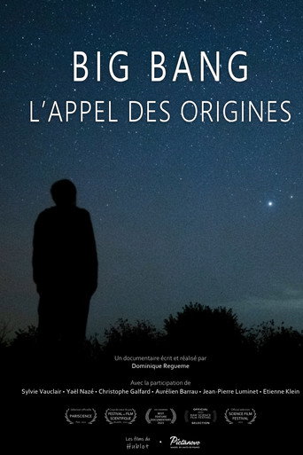 Big bang, l'appel des origines movie poster