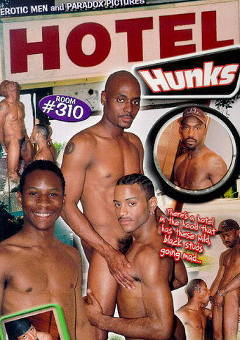 Hotel Hunks movie poster