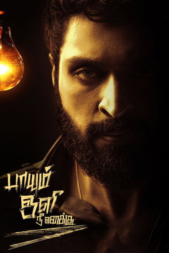 Paayum Oli Nee Yenakku movie poster