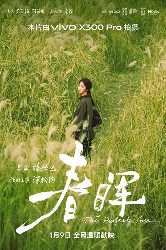 春晖 movie poster