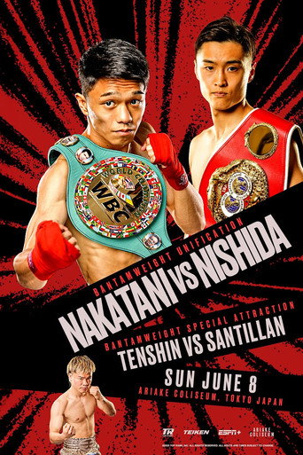 PRIME VIDEO BOXING 13 movie poster