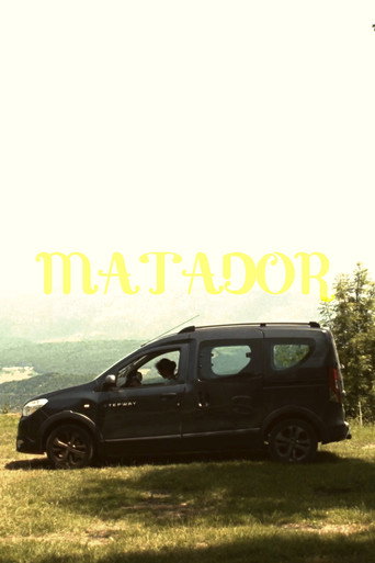 Matador movie poster