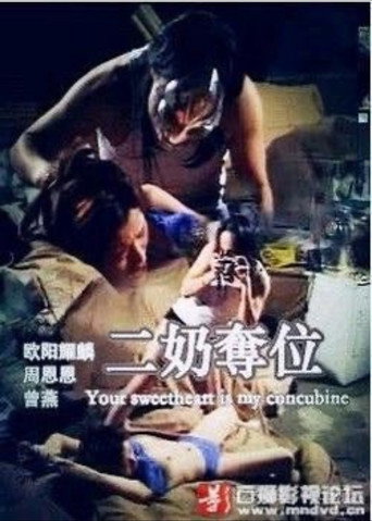 二奶奪位 movie poster
