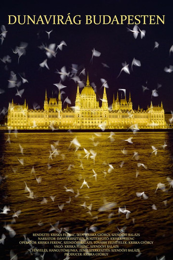 Dunavirág Budapesten movie poster