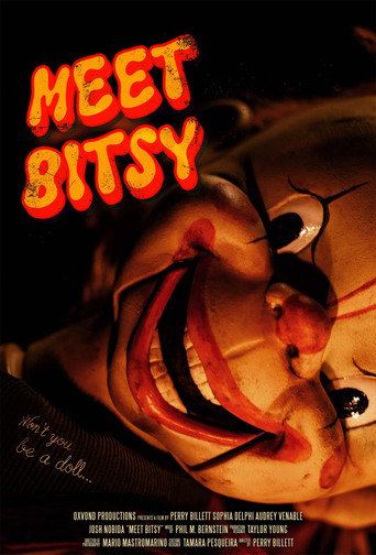 Meet Bitsy movie poster