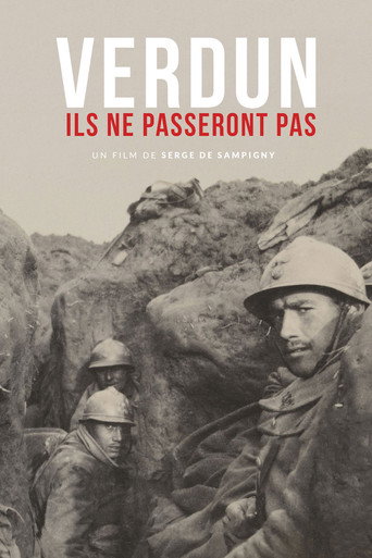 Verdun - They will not pass! movie poster