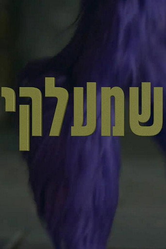Shmelky movie poster