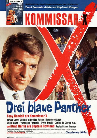 Kill, Panther, Kill! movie poster