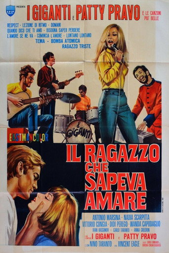 Il ragazzo che sapeva amare movie poster
