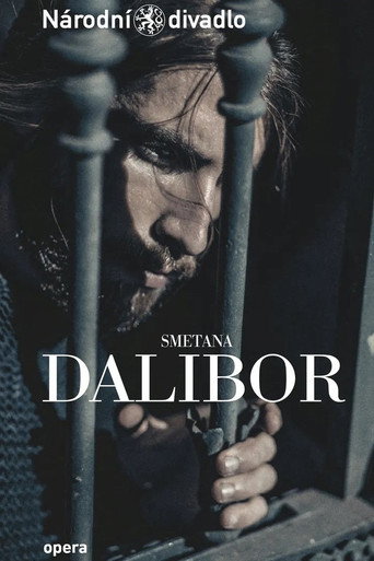 Dalibor movie poster