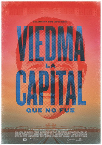 Viedma movie poster