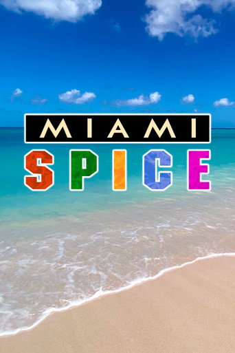 Miami Spice movie poster