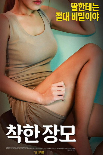 Nice Mother-in-law movie poster