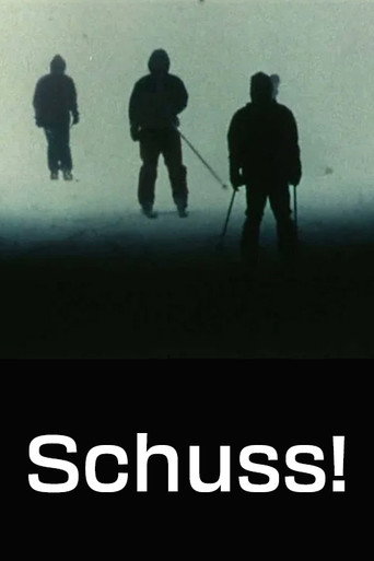 Schuss! movie poster
