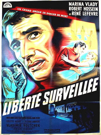 Provisional Liberty movie poster