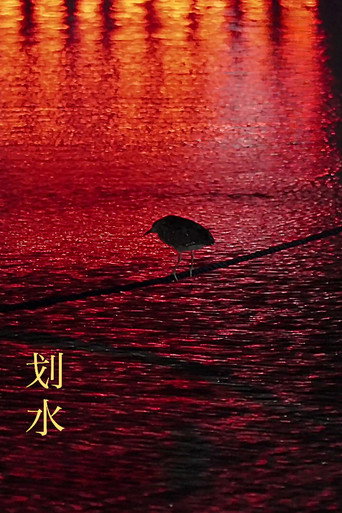 Rowing movie poster