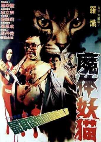 Strange Tales of Magic movie poster