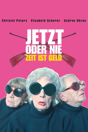 Now or Never movie poster