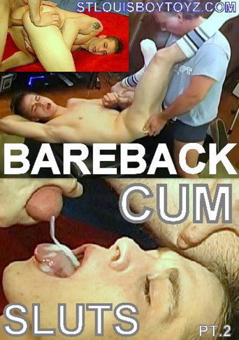 Bareback Cum Sluts 2 movie poster
