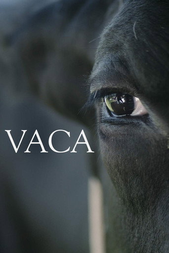 Vaca movie poster