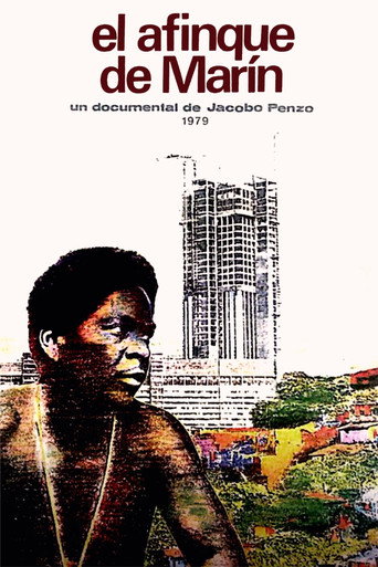 El afinque de Marín movie poster