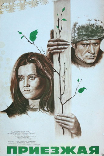 Newcomer movie poster