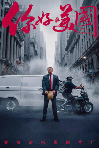 你好美国 movie poster