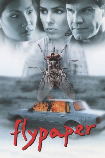 Flypaper movie poster